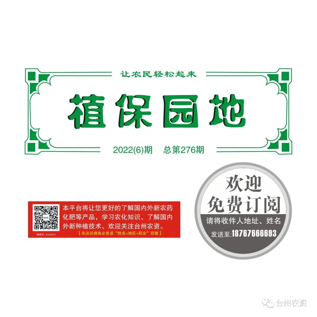 梅雨季節(jié)來臨，柑橘即將穩(wěn)果，注意管理好夏梢，合理施肥打藥
